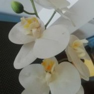 嗨球u13vs西安秦英u13，上半场有感。